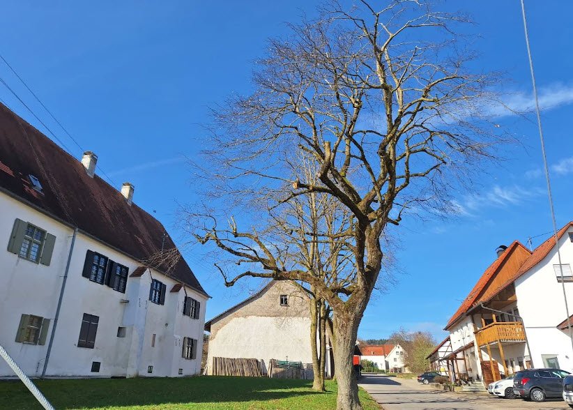 Schloss Ehestetten, Germany
